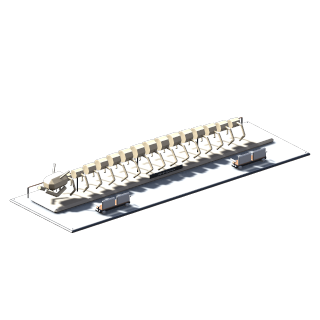 Leviathan Bones