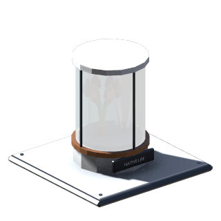 Terrarium
