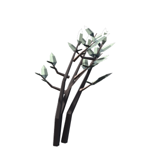 Frost Scrub