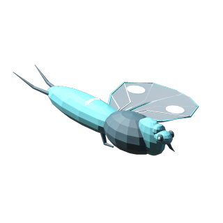 Glasswing