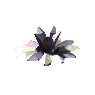 Salt Succulent